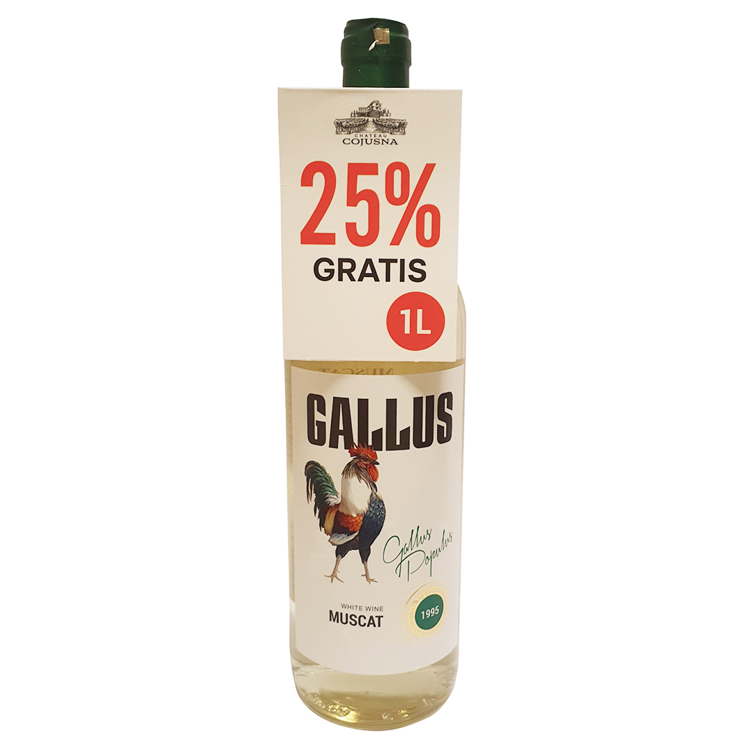 Gallus - "Kogut"  Muscat